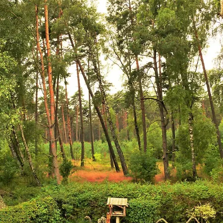 W Domu Wakacyjnym Roberto *