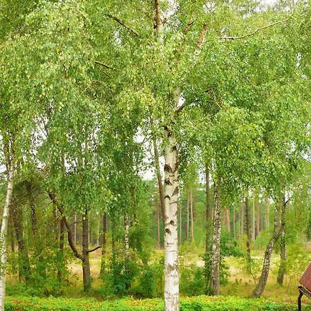 W Domu Wakacyjnym Roberto *