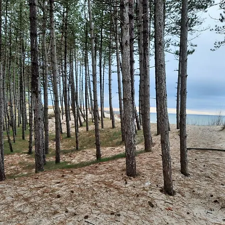 W Domu Wakacyjnym Roberto Daire