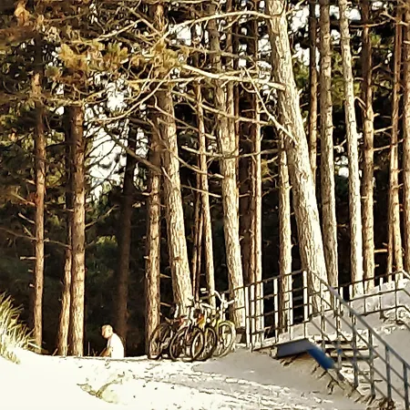 W Domu Wakacyjnym Roberto *