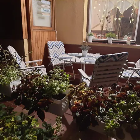 アパート W Domu Wakacyjnym Roberto ロビ