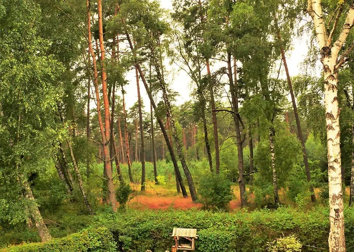 W Domu Wakacyjnym Roberto *