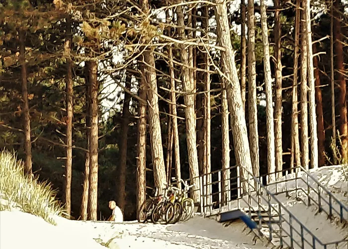 W Domu Wakacyjnym Roberto *