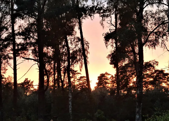 W Domu Wakacyjnym Roberto